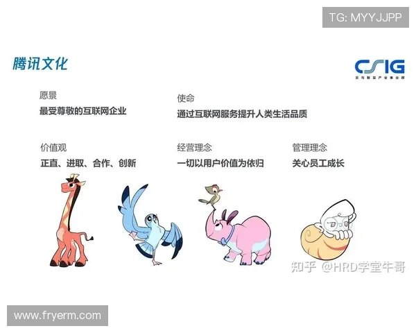 OD体育旗舰网站的客户服务体系与常见问题解决方案全景分析